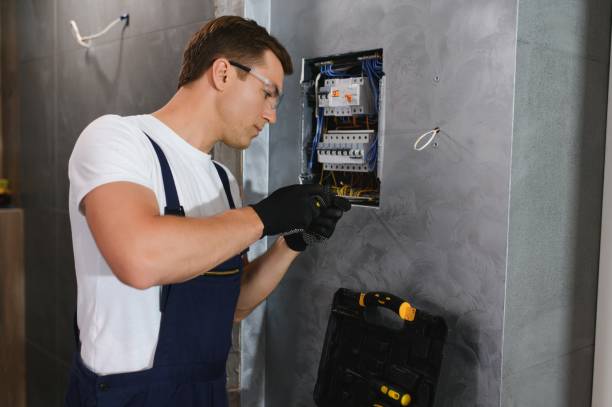 Best Electric Panel Repair  in Monroe Manor, NJ